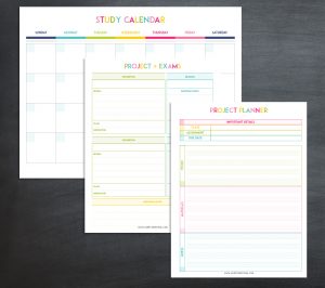 Printable Student Planner – Keeping your grades up has never been ...